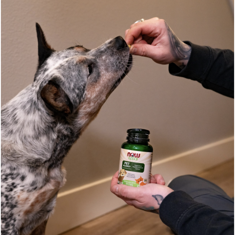 NOW Foods Pets, Allergiavastane kompleks loomadele 75 närimistabletti foto